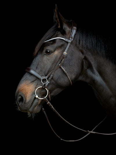 Catago Gentle Bridle Kæberem