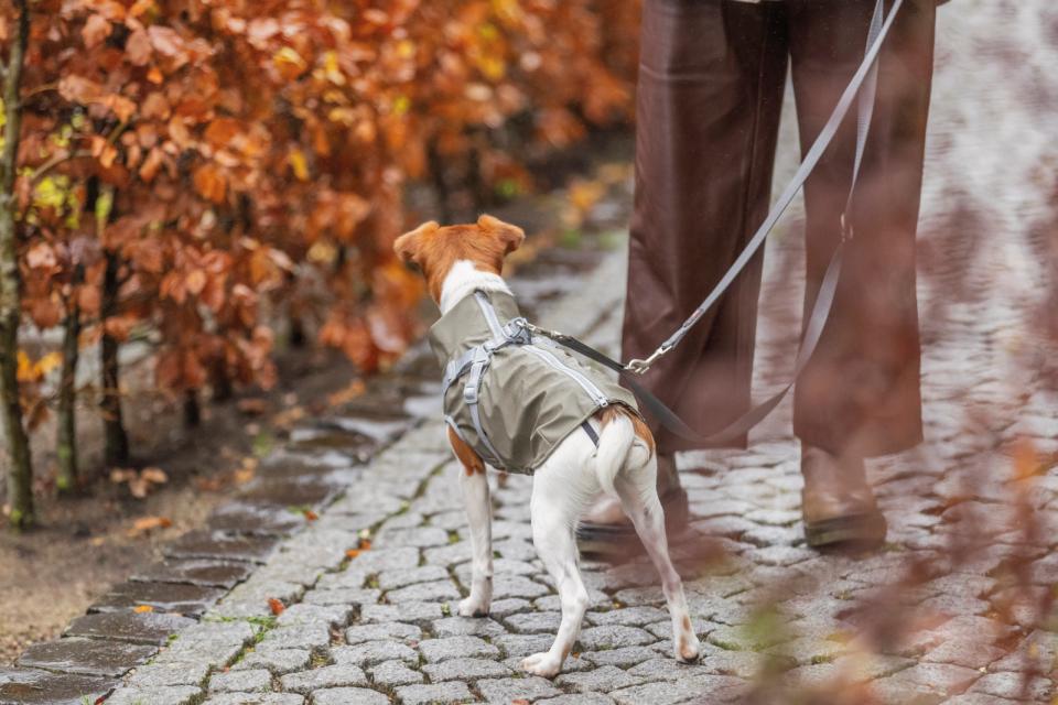 Trixie Pontis Regn Hundedækken Med Sele