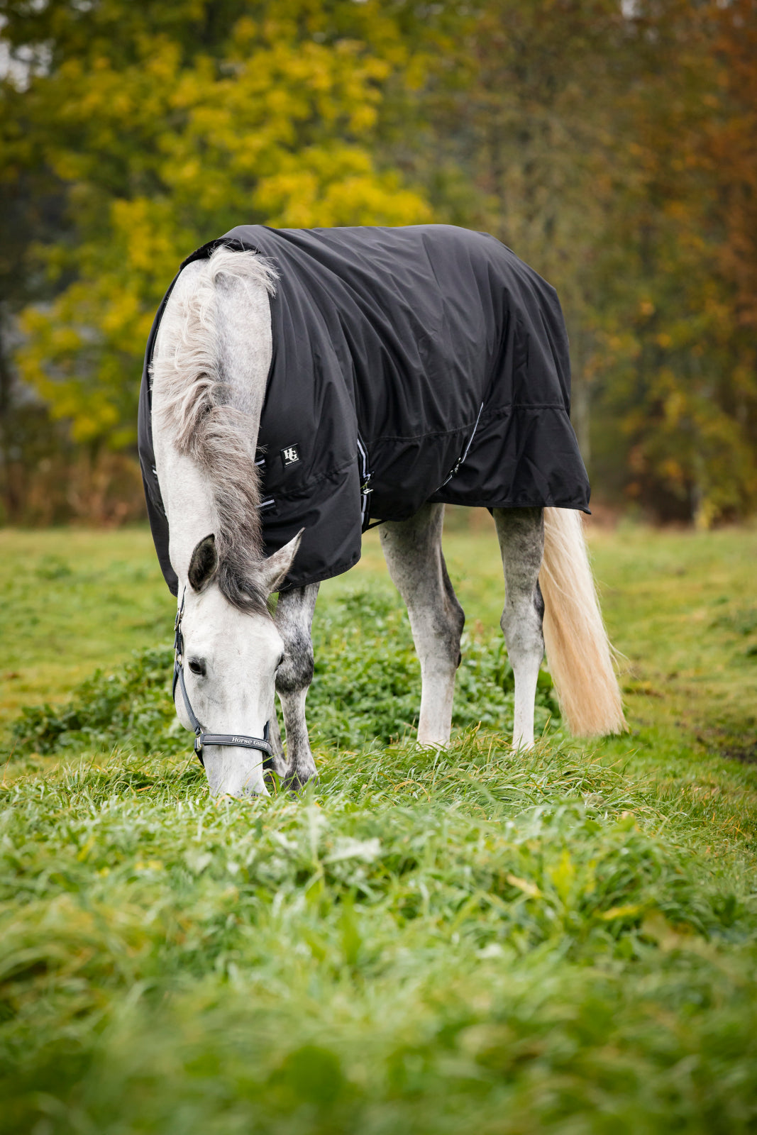 HorseGuard Turnout Rugs 200g.
