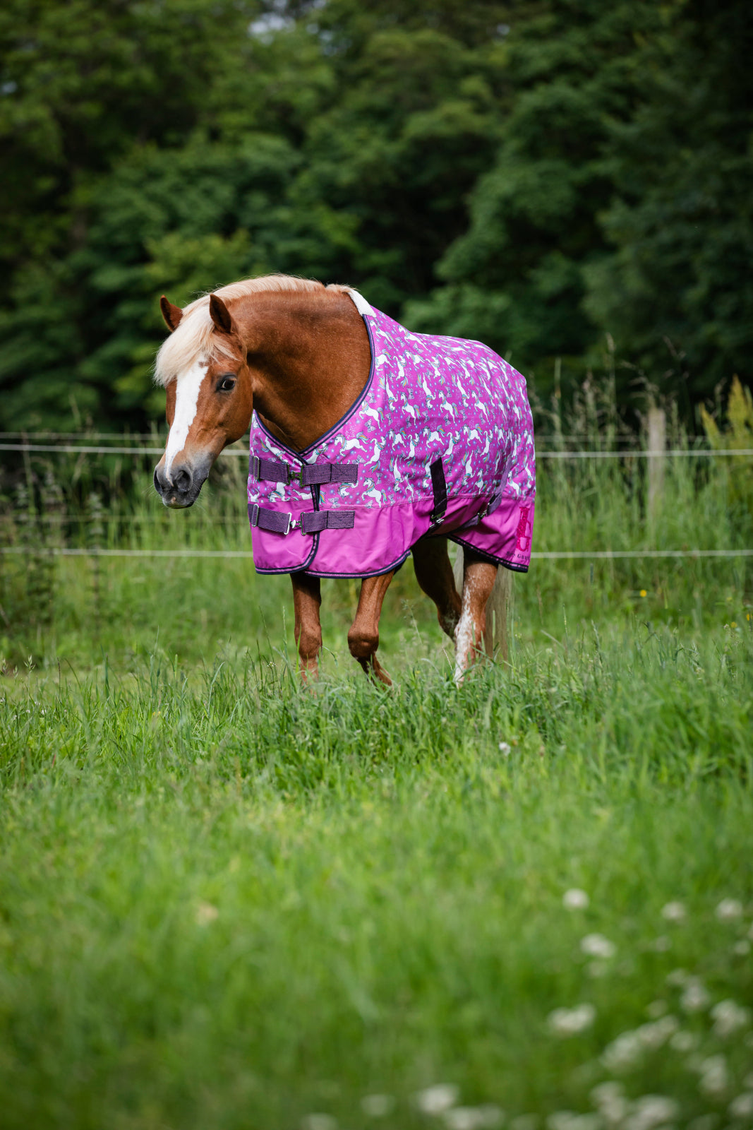 HorseGuard Josh Unicorn Turnout Rug 0 g.
