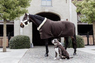 Kentucky  Dog Coat Original