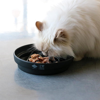 D&D Home Sue Cat Slow Feeder