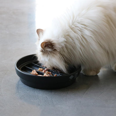 D&D Home Sue Cat Slow Feeder