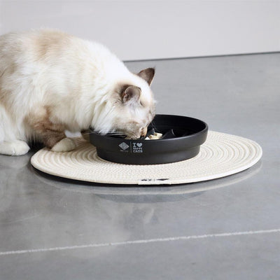 D&D Home Sue Cat Slow Feeder