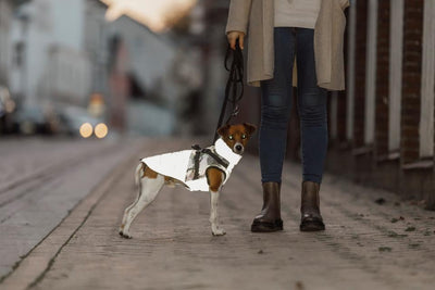 Trixie Pontis Reflect Coat Whit Harness