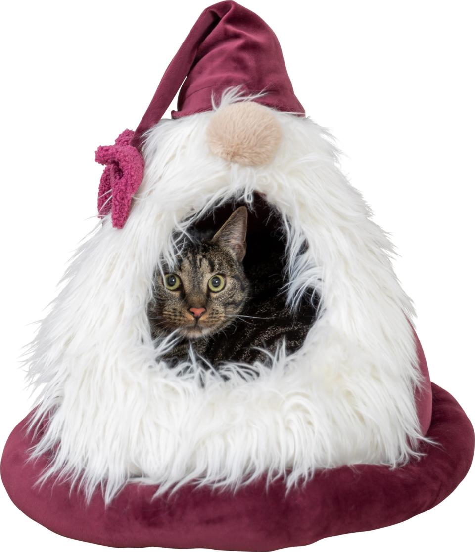 Trxie Xmas Hule Dværg