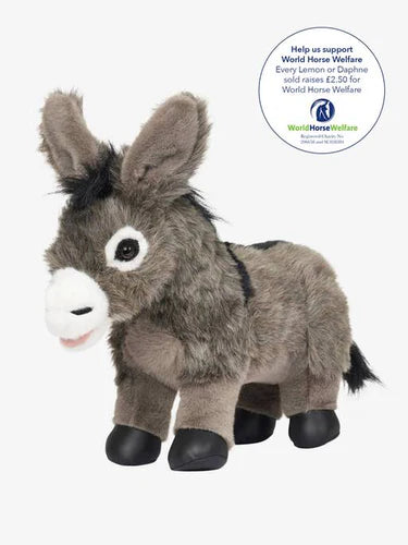 Mini Donkey Daphne