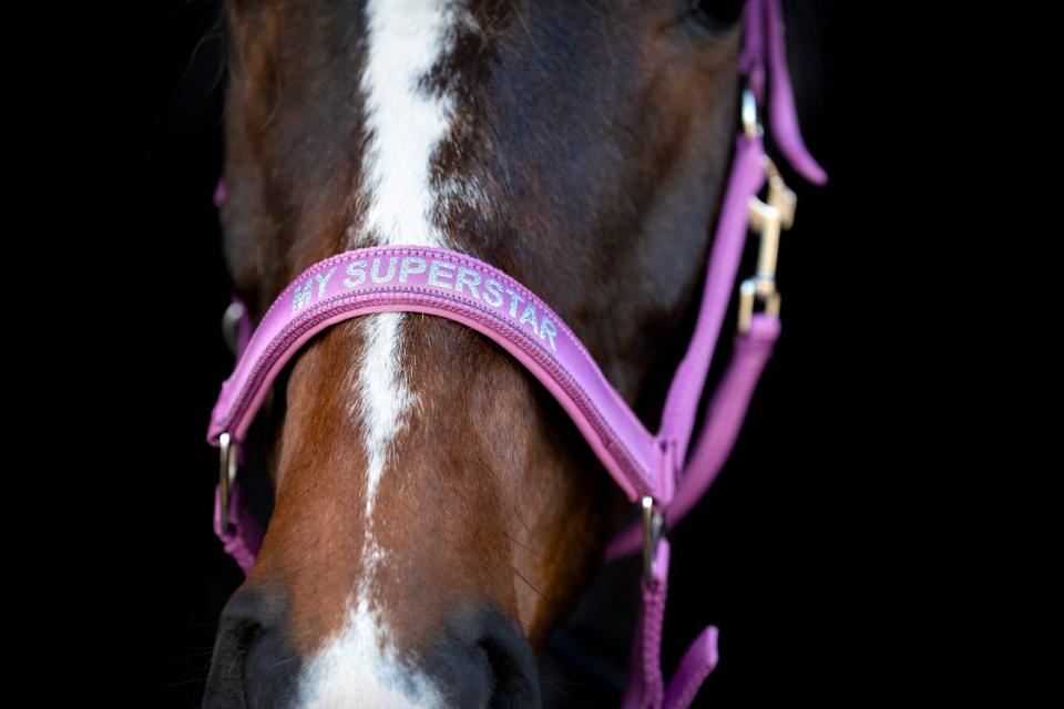 HorseGuard Malva grime "My Superstar"