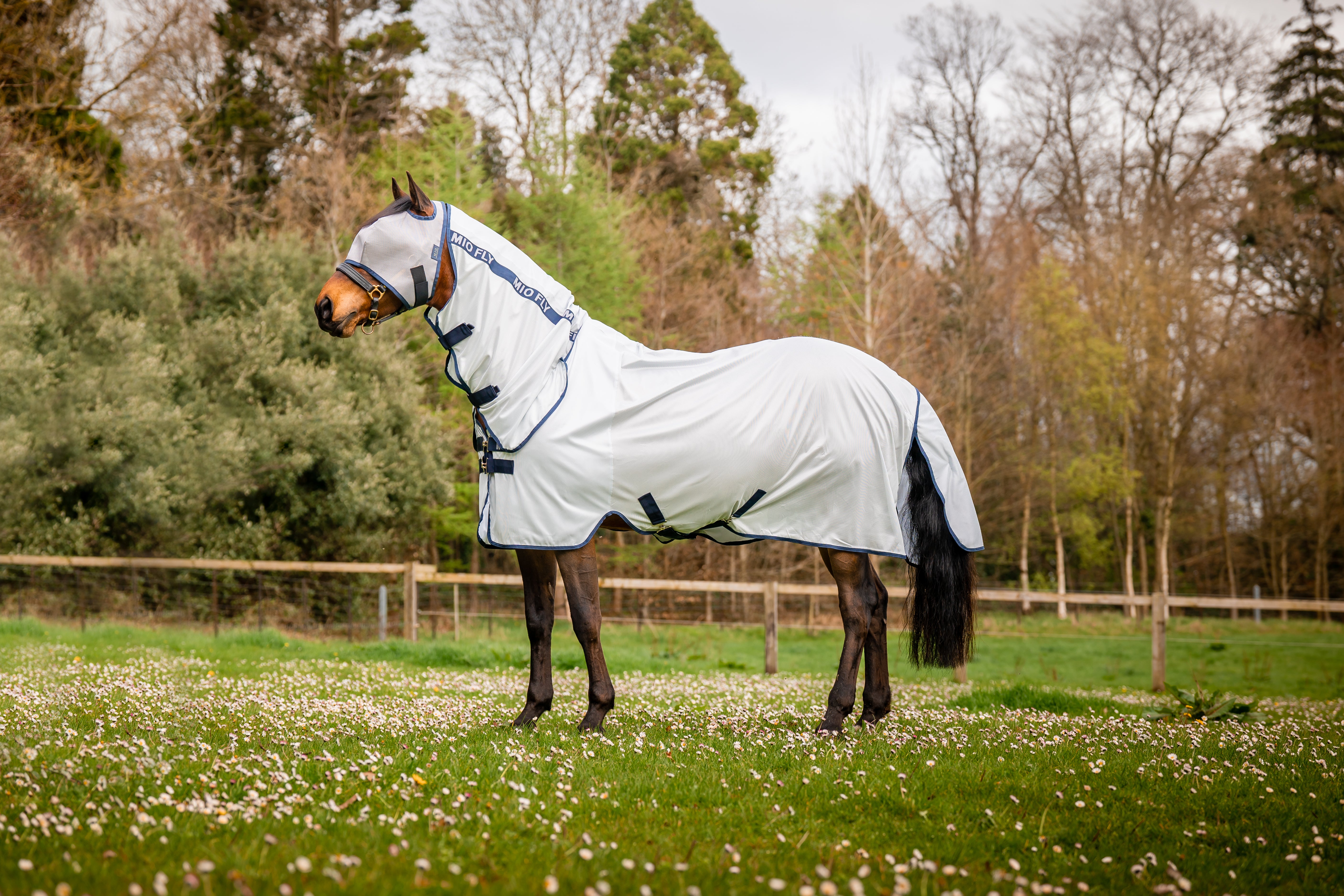 Horseware Mio Fly Mask - OUTLET
