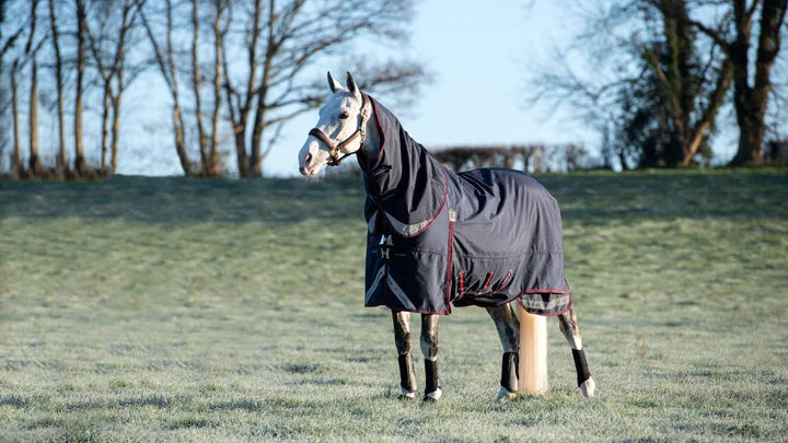 LeMieux Kudos Turnout Rug 350g.