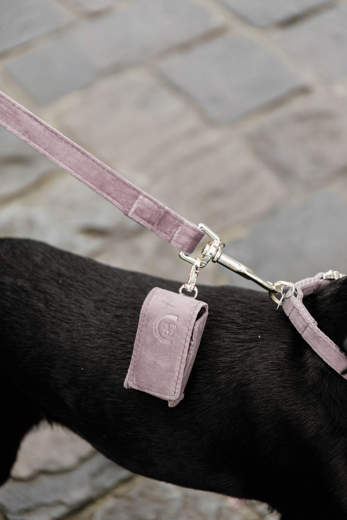Kentucky Poop Bag Velvet