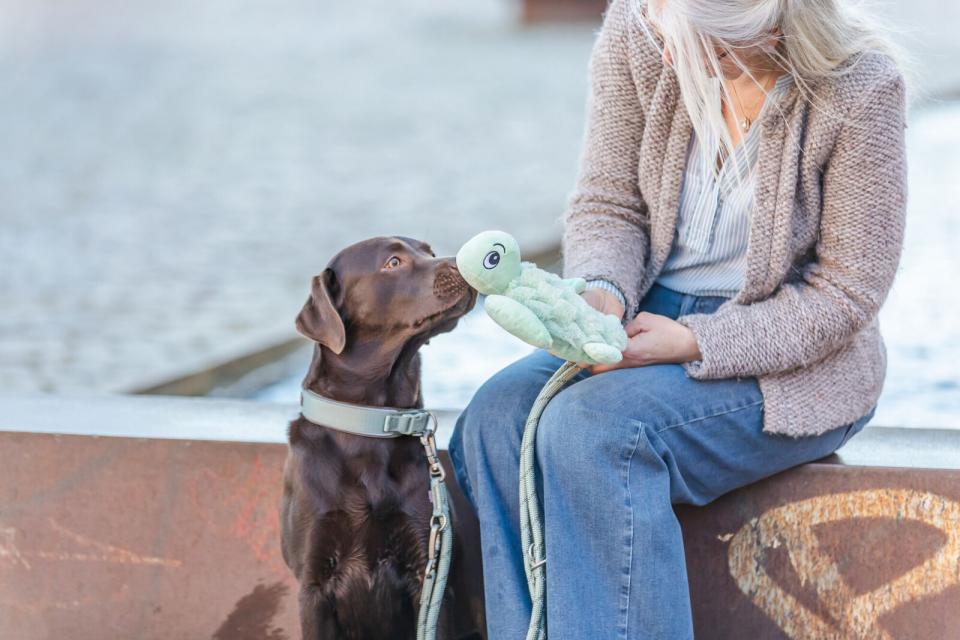 Trixie Skildpadde tøjdyr