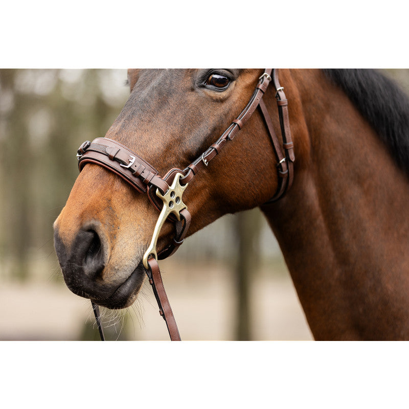 Trust Sopot Hackamore Trense