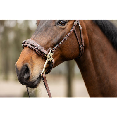 Trust Sopot Hackamore Trense