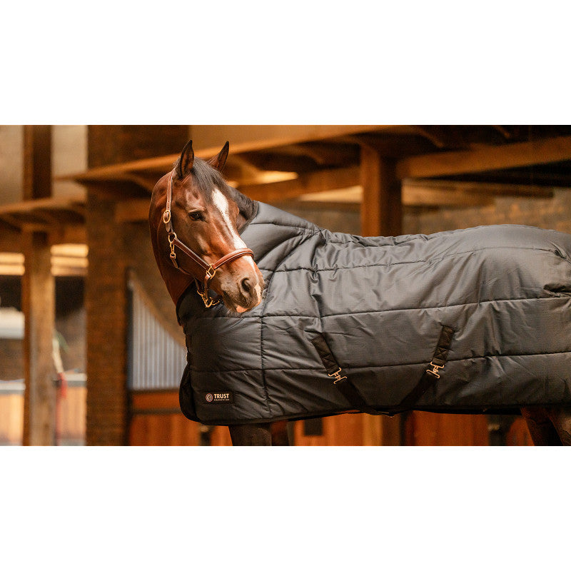 Trust Tetris Stable Rug 200g.