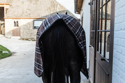 Kentucky Fleece Rug Heavy