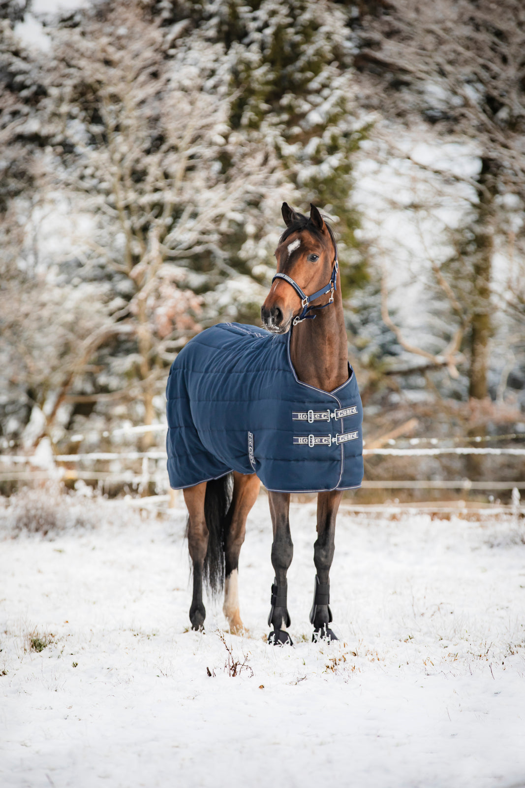 HorseGuard Sophie 600D Stable Rug