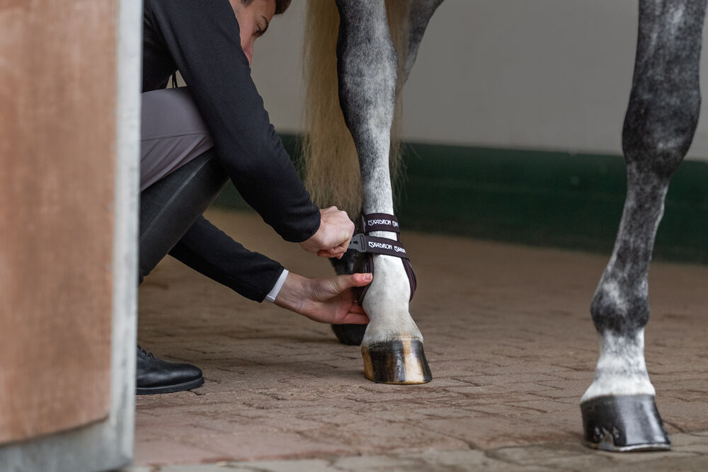 Eskadron AIR-FLEX Sport H Tendon Boots