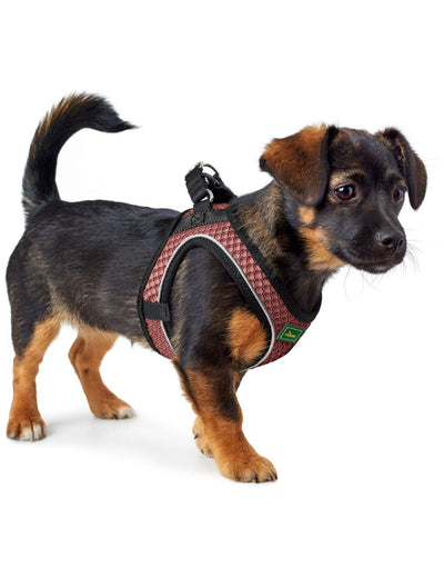 Hunter Hilo Comfort Sele