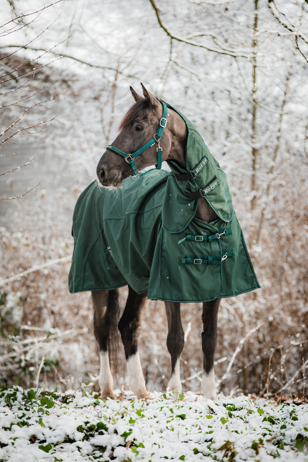 HorseGuard Adapting 1200D Turnout Dækken 0 g.