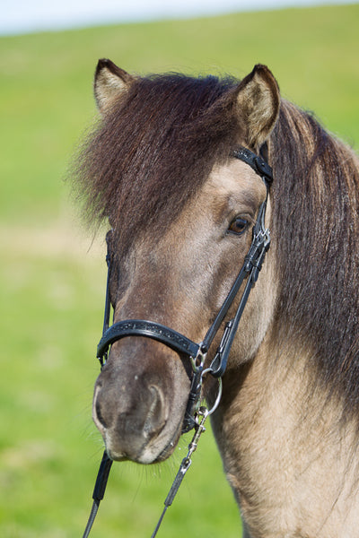 EQUES StepByStep Næsebånd