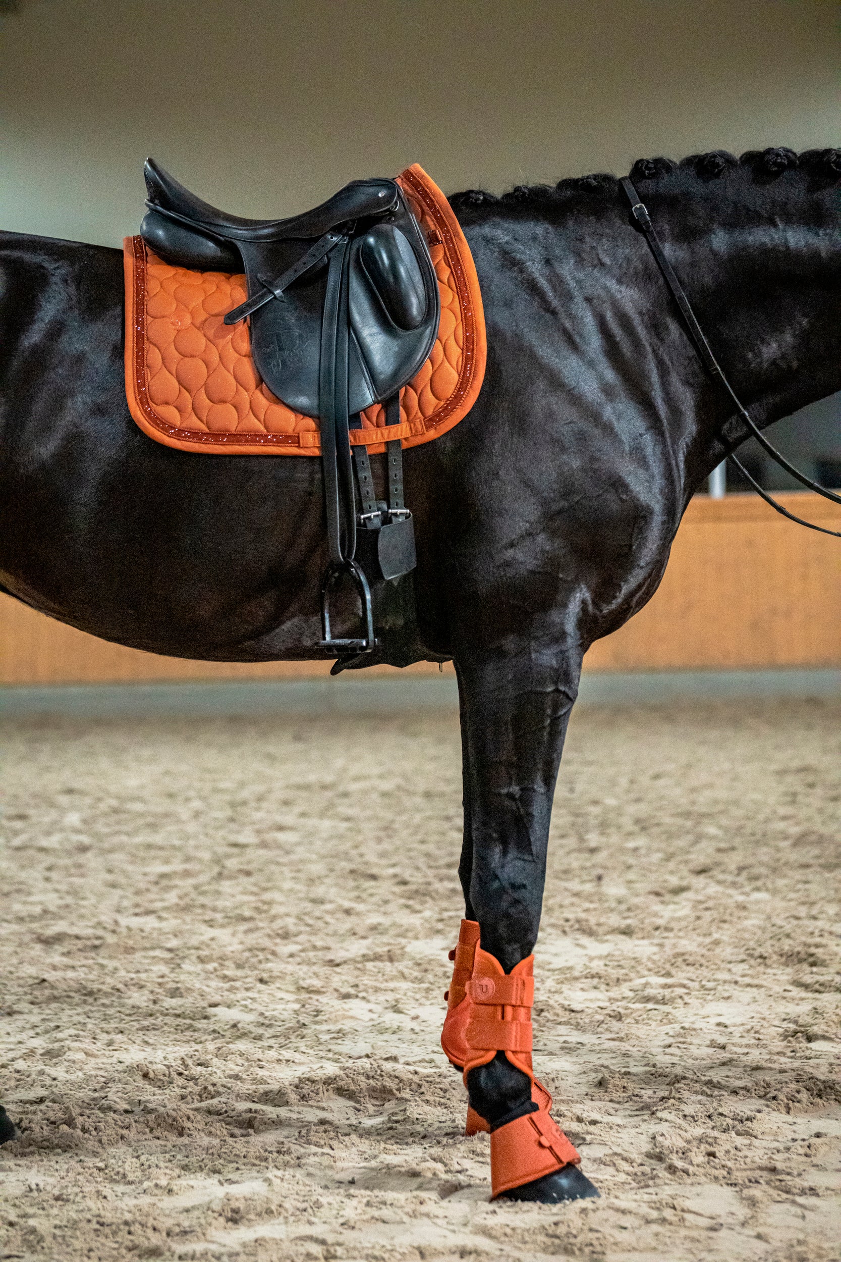Eskadron Bell Boots 1200D Platinum
