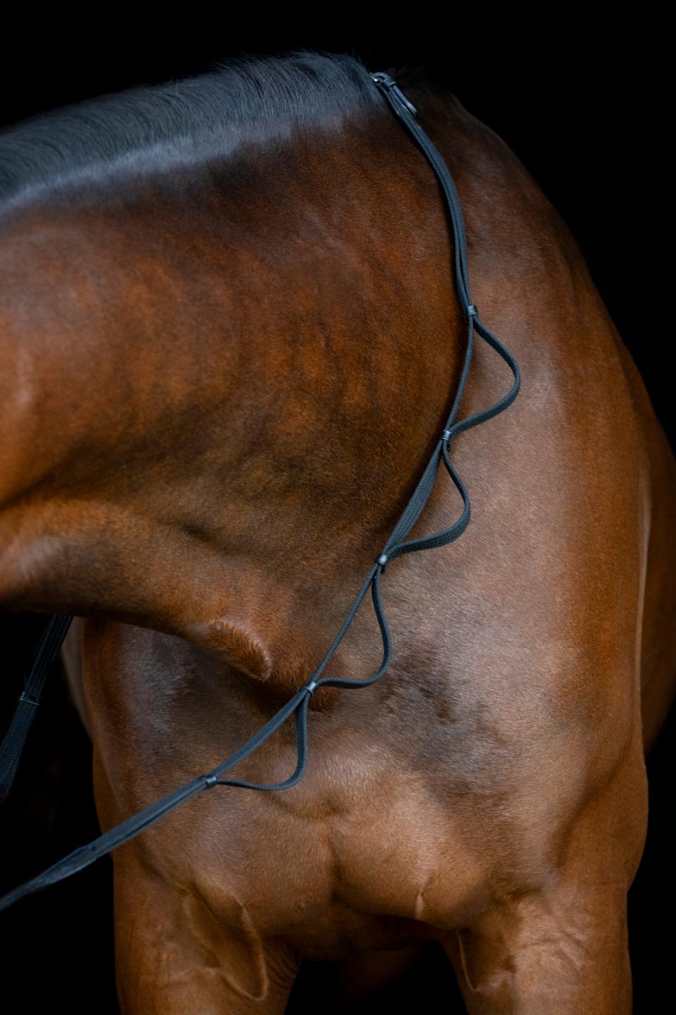 HorseGuard Loop Tøjler