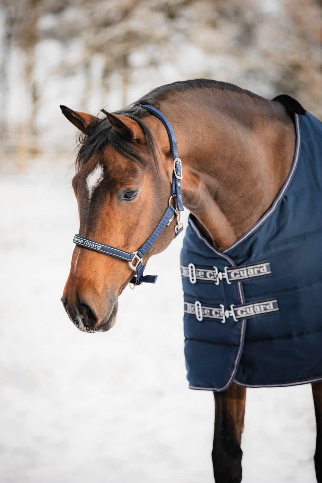 HorseGuard Sophie 600D Stable Rug