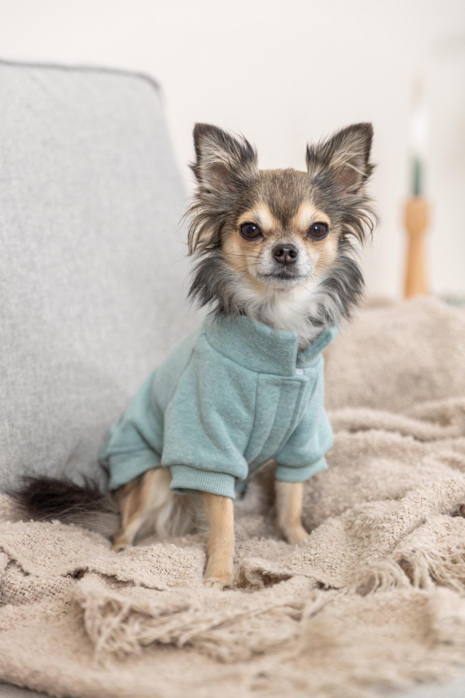 Trixie Littleton Sweatshirt