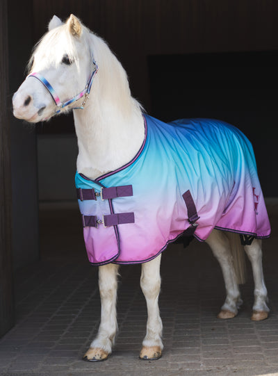 HorseGuard Gradient Rug w/ Fleece Lining
