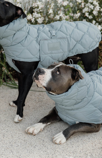 Kentucky Dog Coat Winter Pina