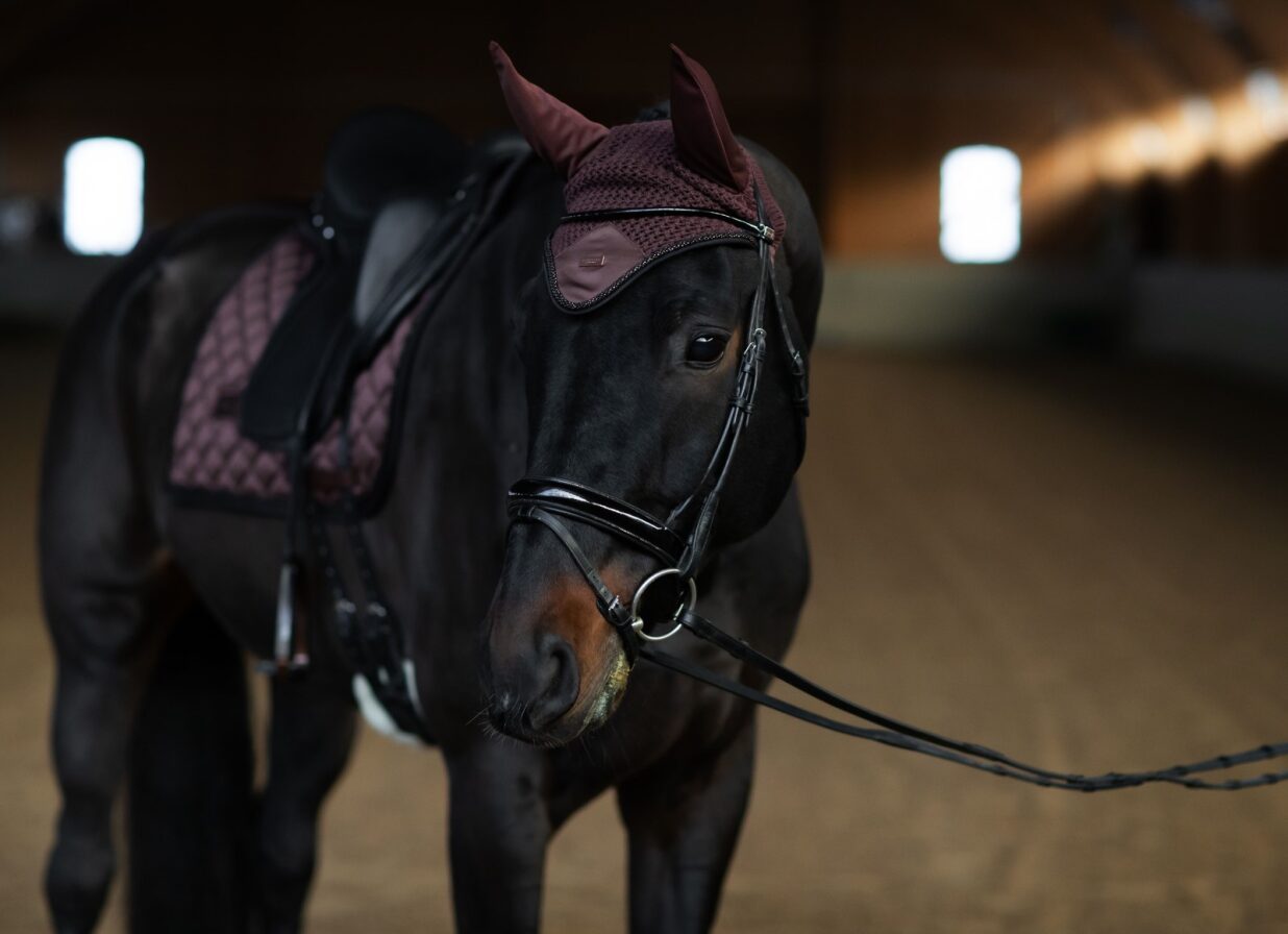 Equestrian Stockholm Endless Glow Hut