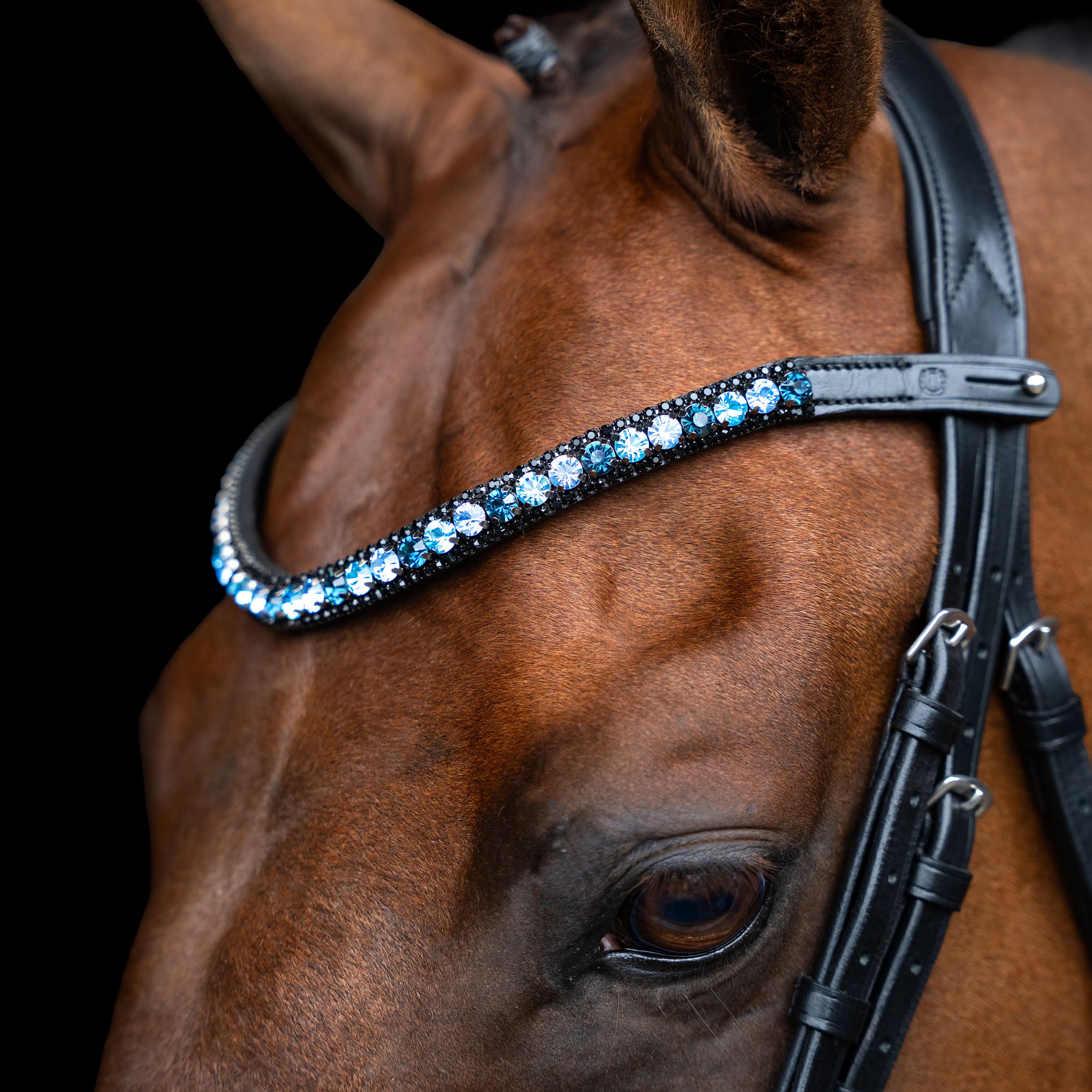 Imperial Riding Browband IRHGrande Blue