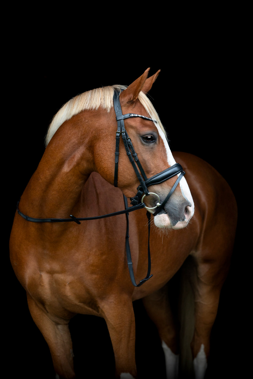 HorseGuard EMI 25.2 Kombineret Trense m. Tilbagetræk