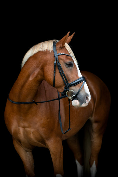 HorseGuard EMI 25.2 Kombineret Trense m. Tilbagetræk