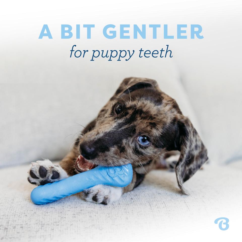 Benebone Puppy 2-Pack Rubber Bone/Wishbone