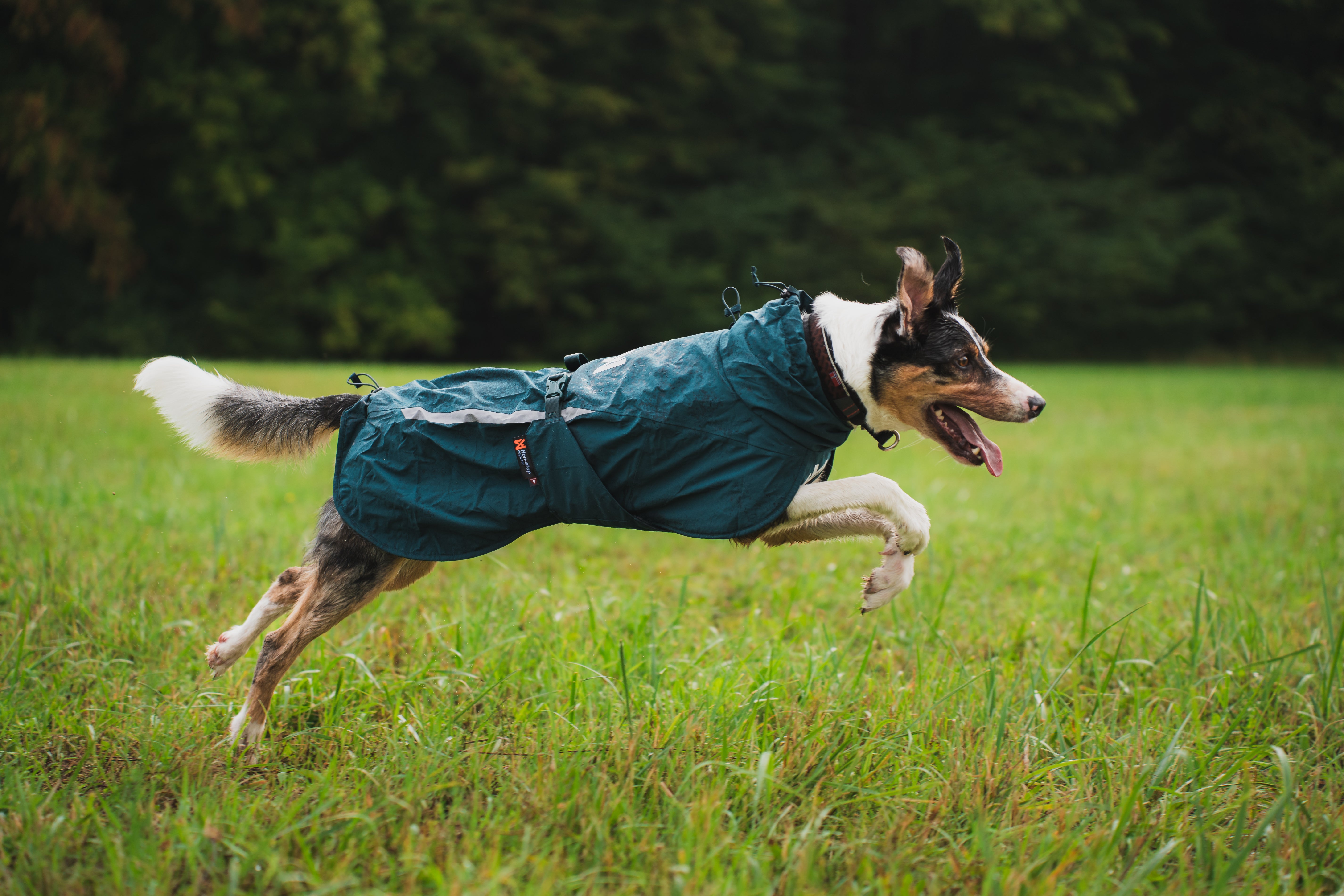 Non-Stop Dogwear Fjord Lined Raincoat