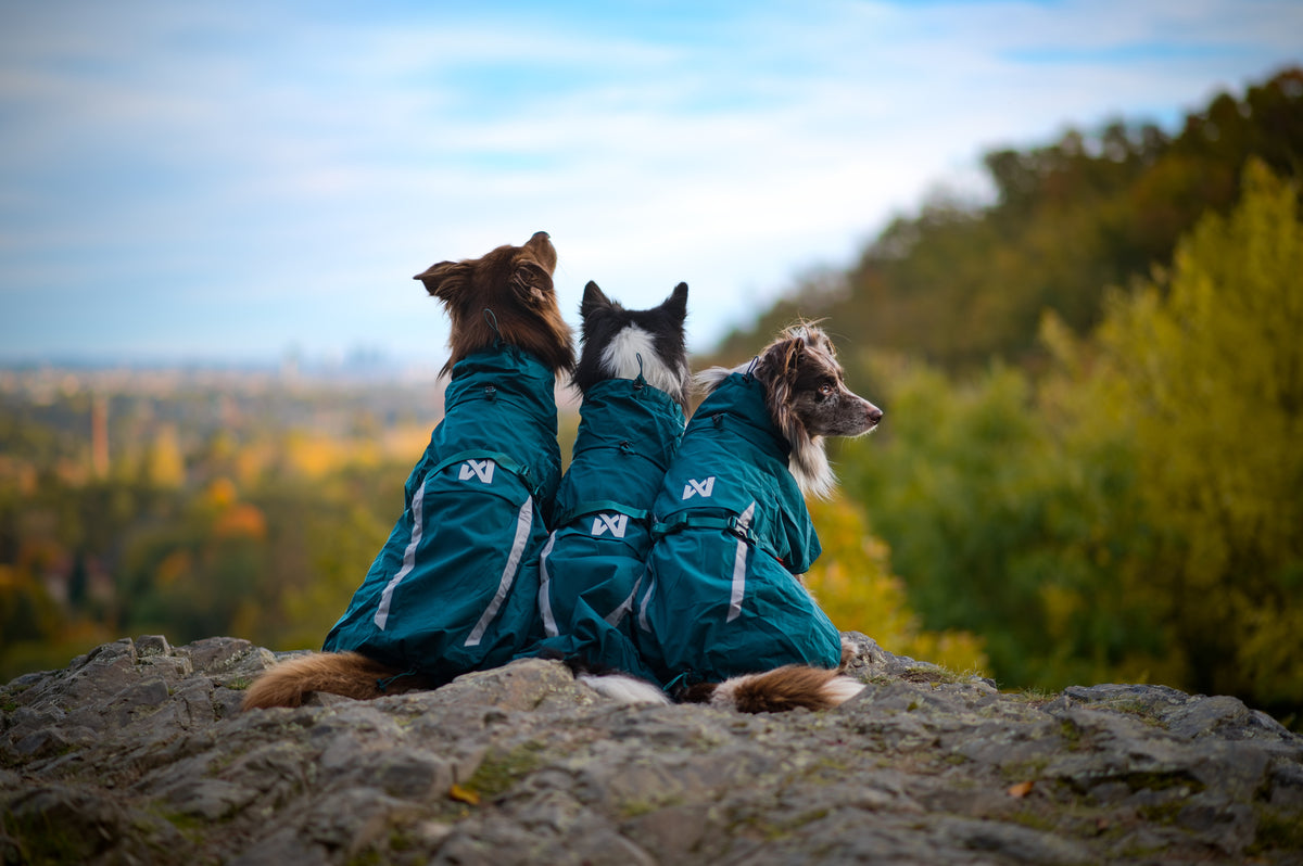 Non-Stop Dogwear Fjord Lined Raincoat