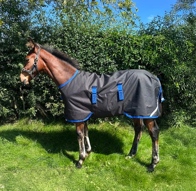 Horseware Amigo Ripstop 900D Føl Turnout 200 g.
