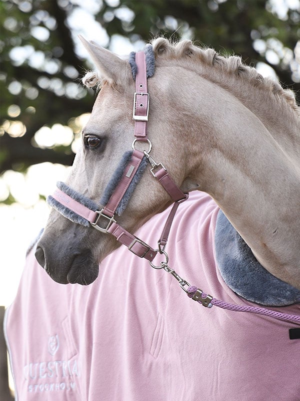 Equestrian Stockholm Pink Grime + Træktov