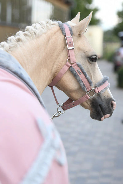 Equestrian Stockholm Pink Grime + Træktov