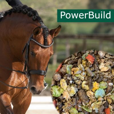 HorsePro PowerBuild - Bestillingsvare