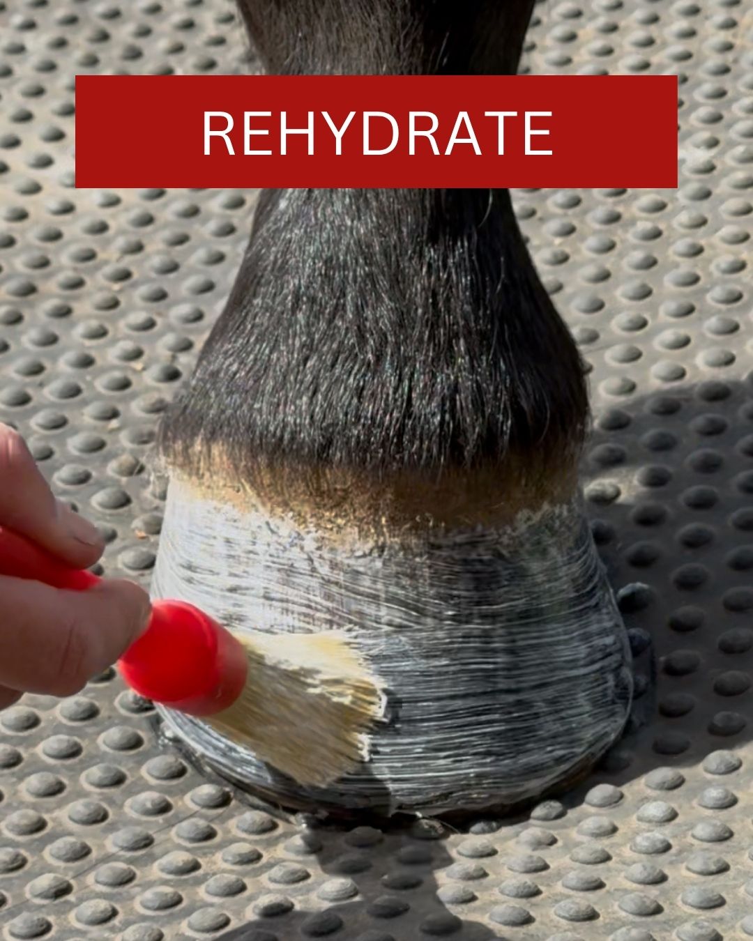 Red Horse Hydrohoff
