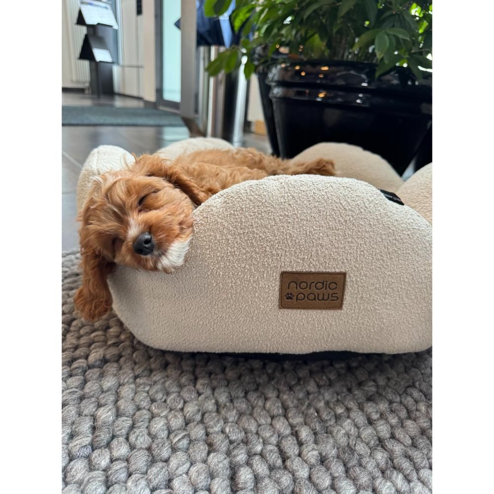 Nordic Paws Flora Hundeseng