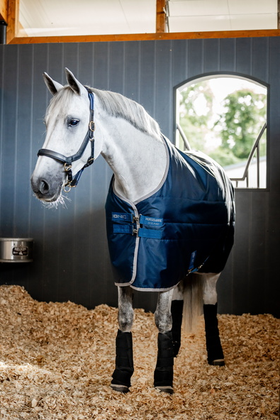 Horseware Ionic Therapy Stable 50 g.