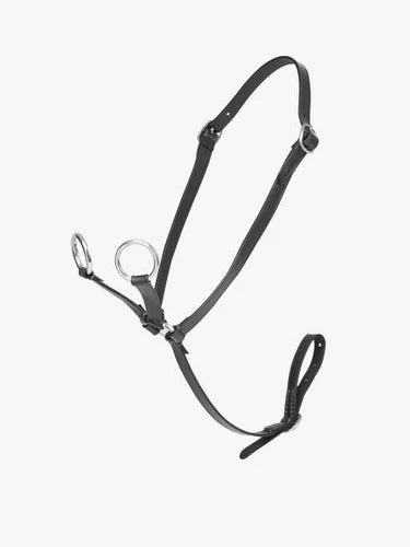 LeMieux Mini Pony Martingale