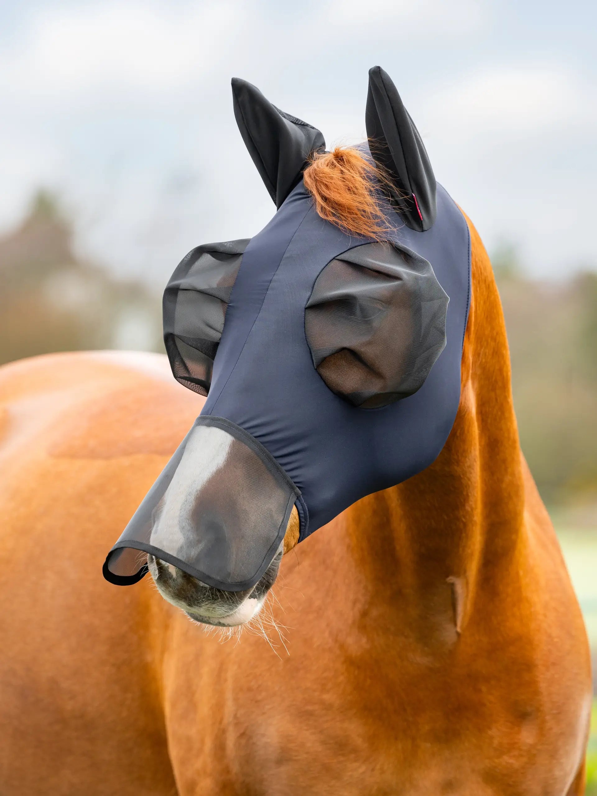LeMieux Bug Relief Full Fly Mask