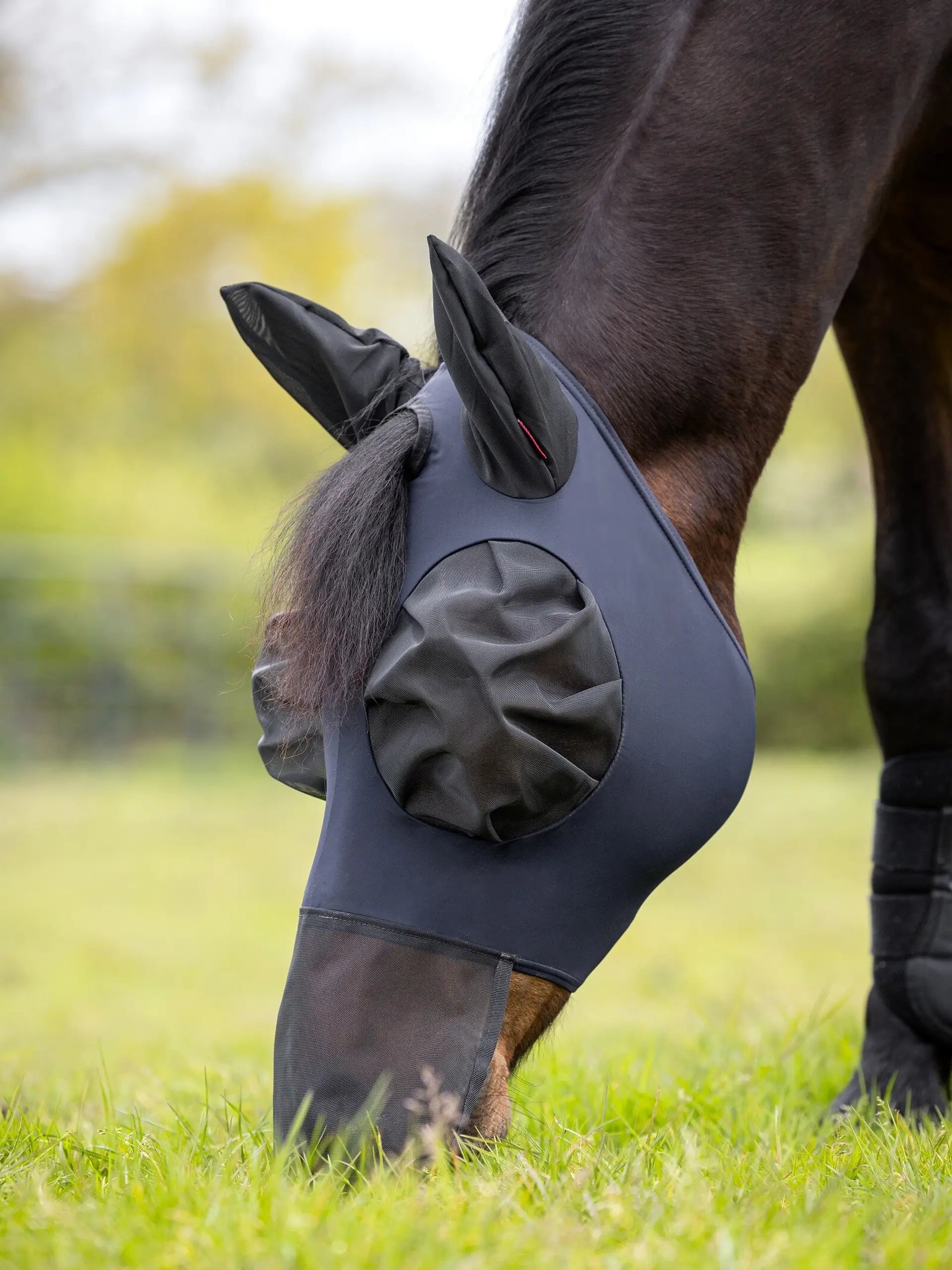 LeMieux Bug Relief Full Fly Mask