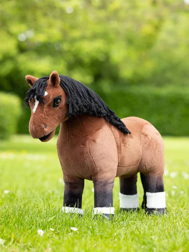 Mini Pony Chancer