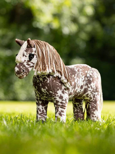 Mini Pony Appaloosa Montana